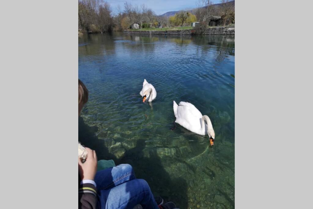 Le Portougais, chalet à Chanaz, la petite Venise savoyarde Esterno foto